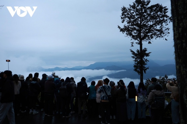 Du khách ngắm biển mây trên Alishan lúc sáng sớm