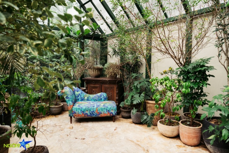 Quán cà phê ngập hoa tươi và cây xanh thành điểm 'sống ảo' của nàng thơ - 6