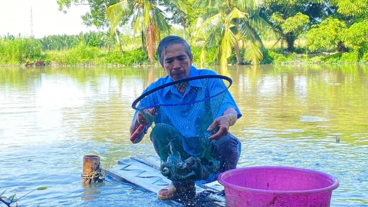 Ông Liêu Minh Đệ, xã Nhà Bè, TPHCM sẵn sàng hiến đất, chia sẻ kinh nghiệm để cùng bà con lối xóm vươn lên thoát nghèo bền vững. Ảnh: ĐVCC