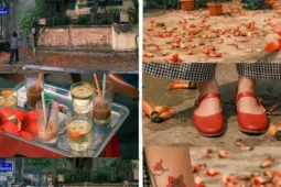 Ngắm loạt ảnh mùa cây thay lá, hiểu vì sao Hà Nội lọt top 50 thành phố đẹp nhất thế giới