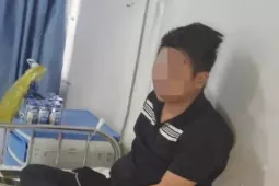 Ăn vách bò um cà đắng, 3 người sưng phù mặt, khó thở phải cấp cứu