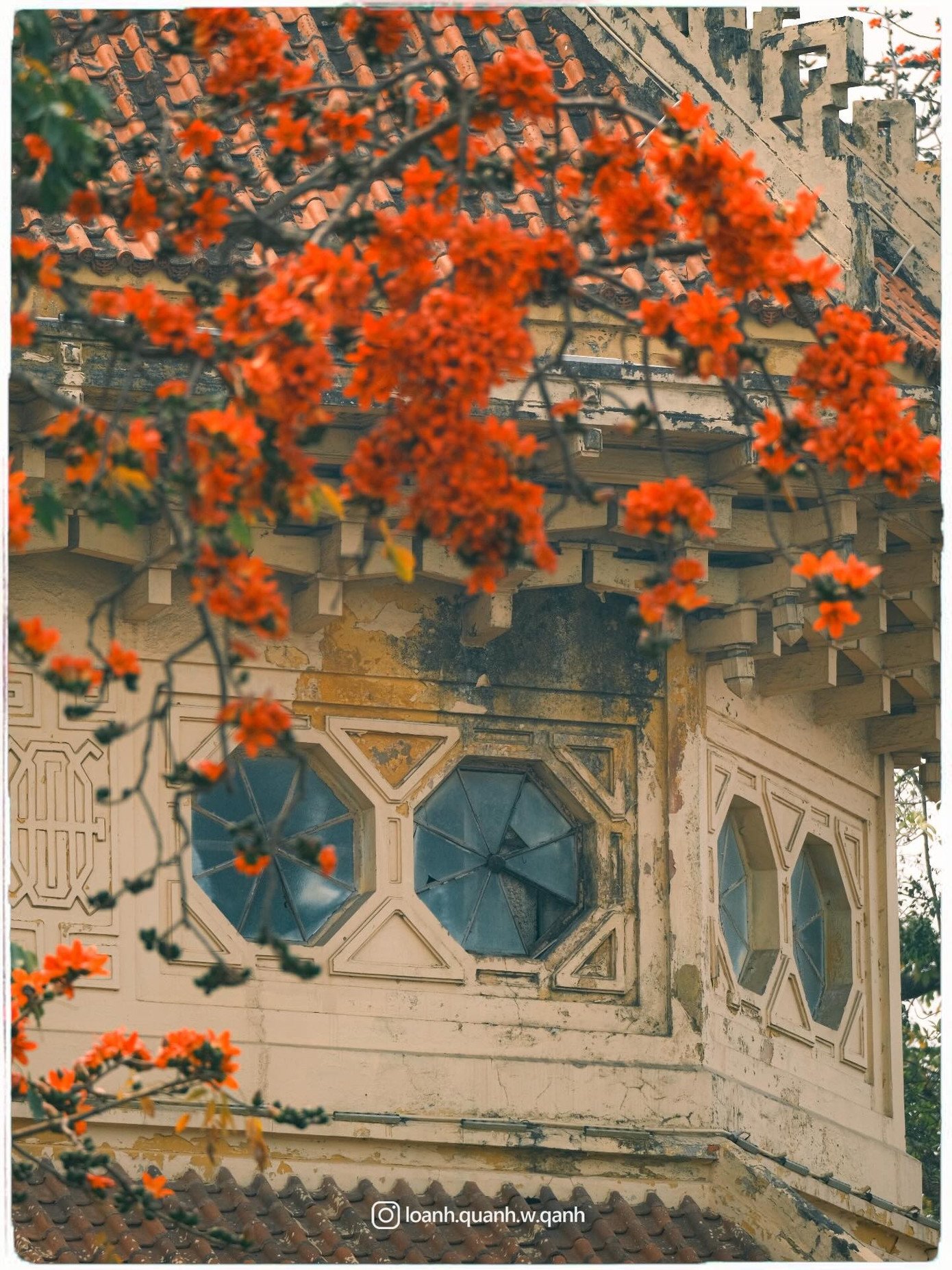 Ngắm loạt ảnh mùa cây thay lá, hiểu vì sao Hà Nội lọt top 50 thành phố đẹp nhất thế giới - 4