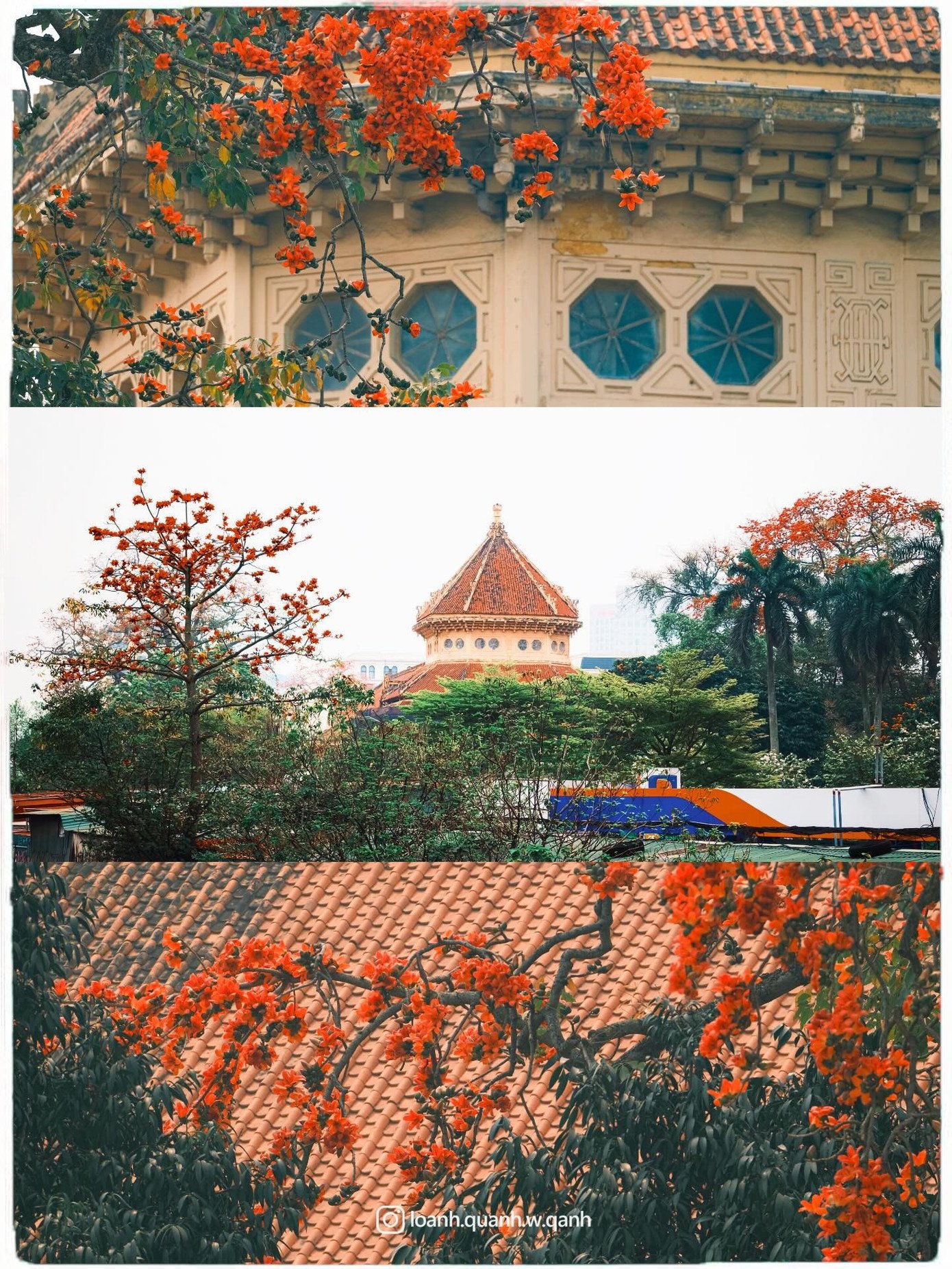 Ngắm loạt ảnh mùa cây thay lá, hiểu vì sao Hà Nội lọt top 50 thành phố đẹp nhất thế giới - 3