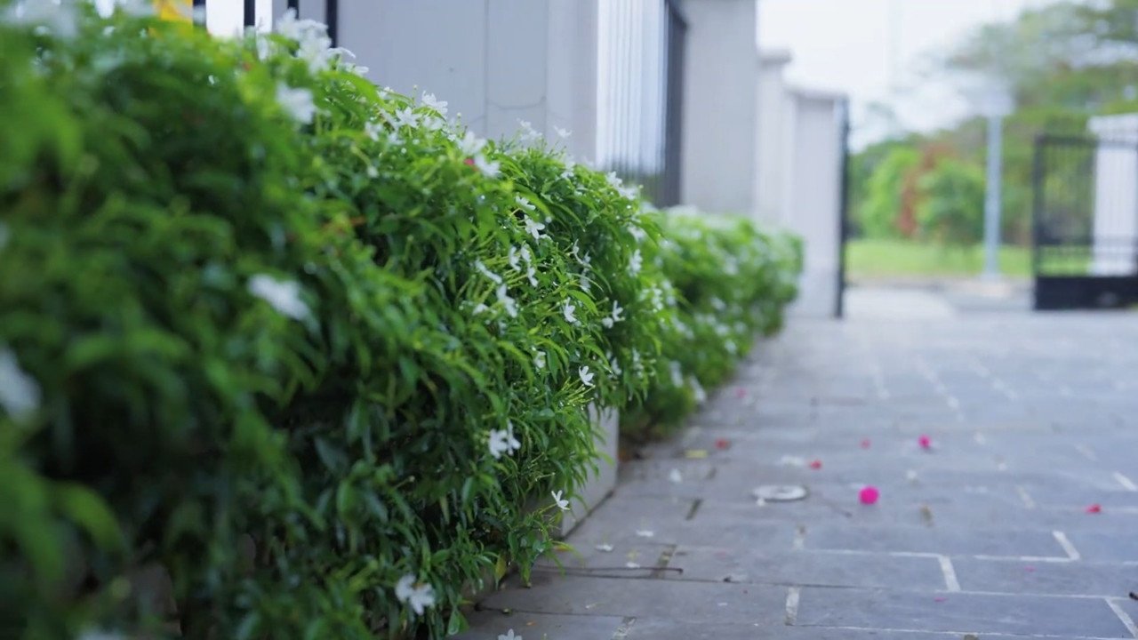 Biệt thự 40 tỷ chứa nhiều kỷ vật quý của diễn viên Quốc Trường - 27