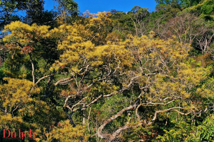 Hoàng hôn đầy chất thơ ở thiên đường nghỉ dưỡng Măng Đen - 6