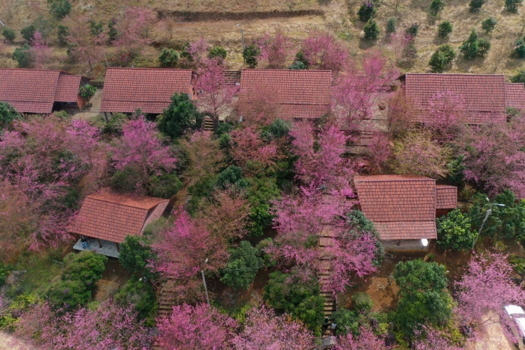 Hoàng hôn đầy chất thơ ở thiên đường nghỉ dưỡng Măng Đen - 15