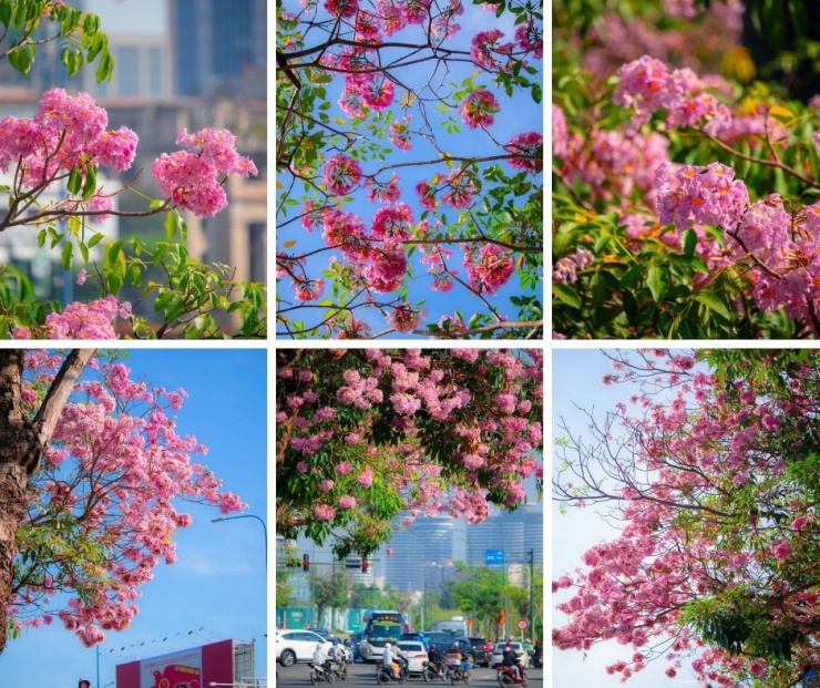 Khung cảnh lãng mạn trên đường Tố Hữu. (Ảnh: hoangbao1895)