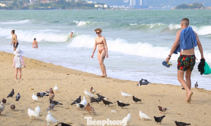 Cảnh tượng chim bồ câu níu chân du khách ở bãi biển Nha Trang - 3