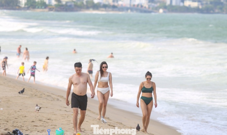 Cảnh tượng chim bồ câu níu chân du khách ở bãi biển Nha Trang - 7