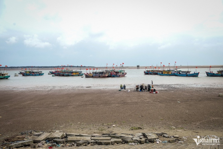 Cảnh khác lạ tại bến cá nổi tiếng Ninh Bình - 1