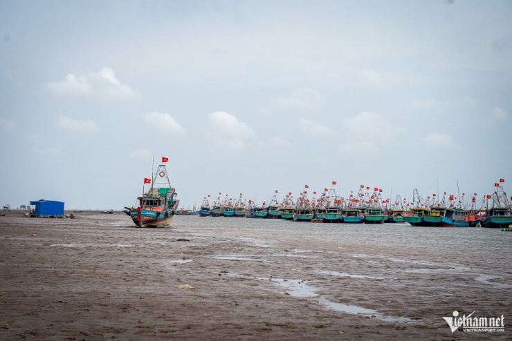 Cảnh khác lạ tại bến cá nổi tiếng Ninh Bình - 3