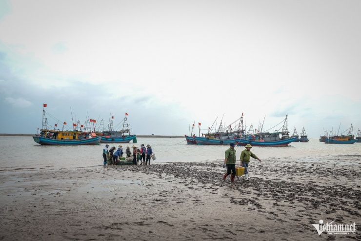 Cảnh khác lạ tại bến cá nổi tiếng Ninh Bình - 4