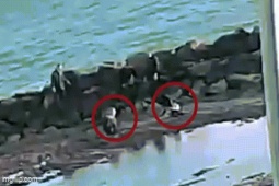 Hai mẹ con suýt bị cát 'nuốt chửng' trên bãi biển