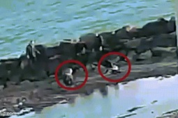 Hai mẹ con suýt bị cát  ' nuốt chửng '  trên bãi biển