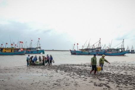 Cảnh khác lạ tại bến cá nổi tiếng Ninh Bình