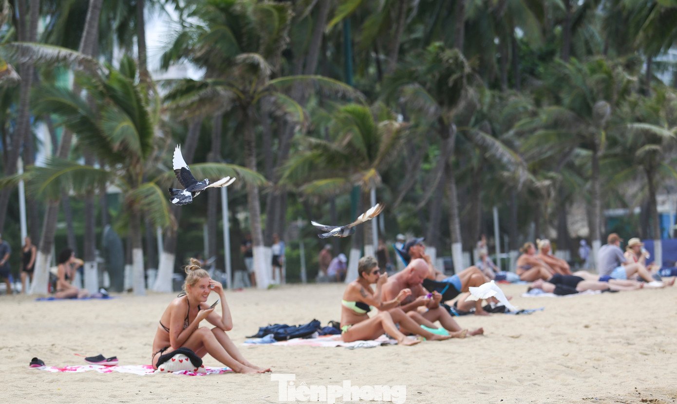 Cảnh tượng chim bồ câu níu chân du khách ở bãi biển Nha Trang - 4