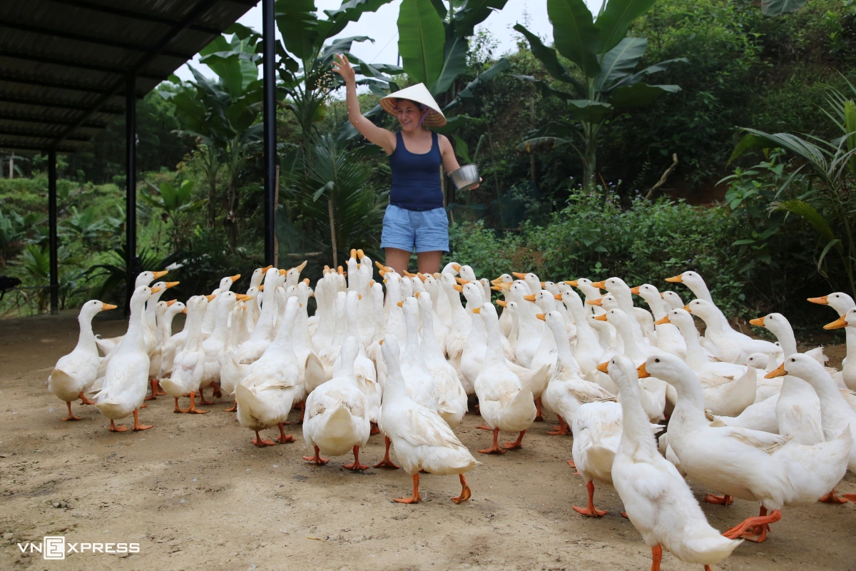 Khách Tây thử cảm giác được đàn vịt vây quanh 'massage' - 6