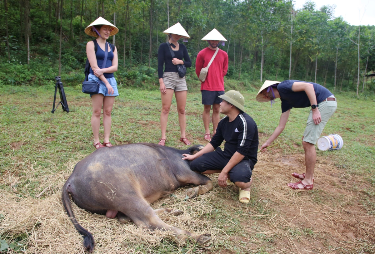 Khách Tây thử cảm giác được đàn vịt vây quanh 'massage' - 10
