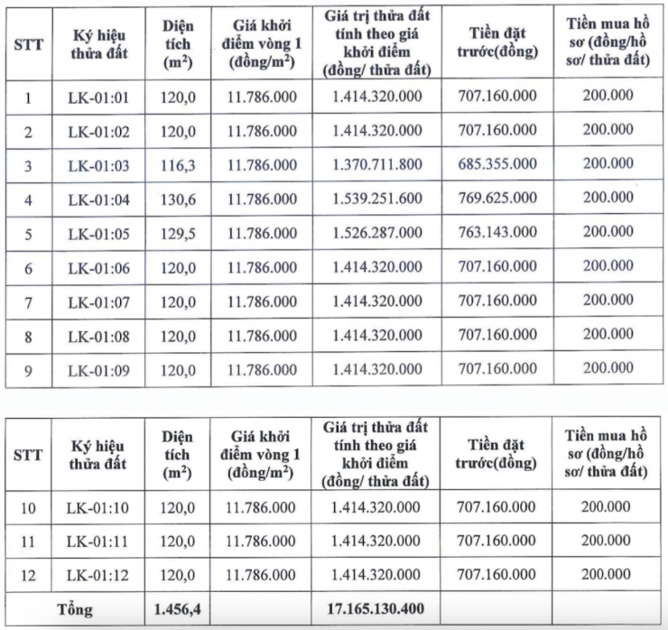 Thông tin về phiên đấu giá 12 thửa đất tại khu Sông Mới, xã Hòa Xá. Ảnh: Công ty Đấu giá hợp danh Lạc Việt.
