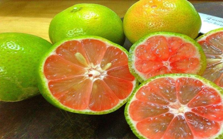 Tuy rằng quả chanh có kích thước nhỏ nhưng lại chứa rất nhiều dinh dưỡng, đặc biệt là hàm lượng dồi dào vitamin C.