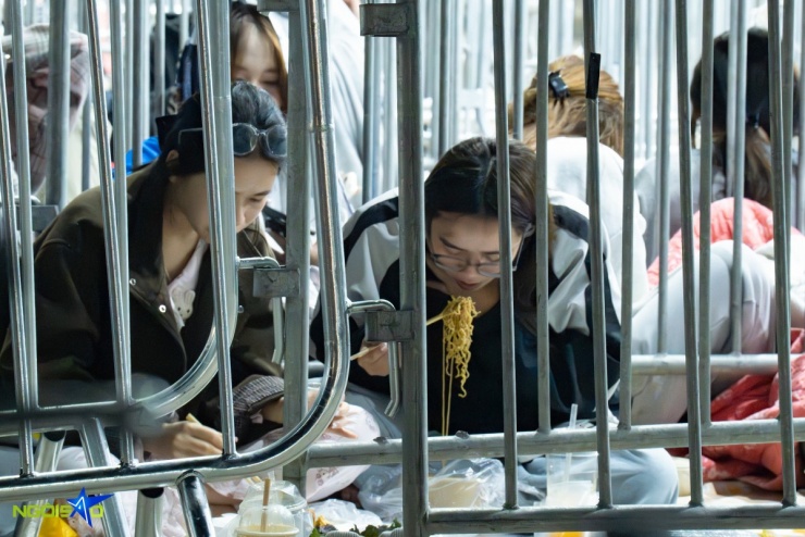 Fan nằm đất xuyên đêm, bám rào chờ xem concert 'Anh trai say hi' - 4