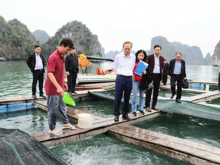 Thứ trưởng Bộ Nông nghiệp và Môi trường Phùng Đức Tiến kiểm tra mô hình tại Trung tâm Nghiên cứu, nuôi trồng giống hải sản miền Bắc (TP.Hải Phòng). Ảnh: nongnghiepmoitruong.vn