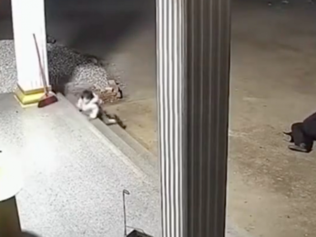 Clip gây 'bão' với cảnh ông bị ngã, em bé vội vàng bò tới để đỡ ông