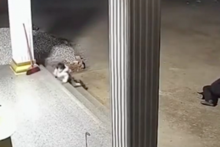 Clip gây 'bão' với cảnh ông bị ngã, em bé vội vàng bò tới để đỡ ông