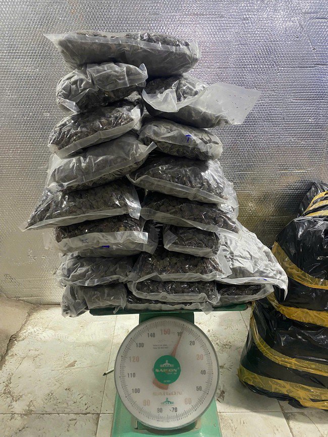 Số cần sa là tang vật vụ việc