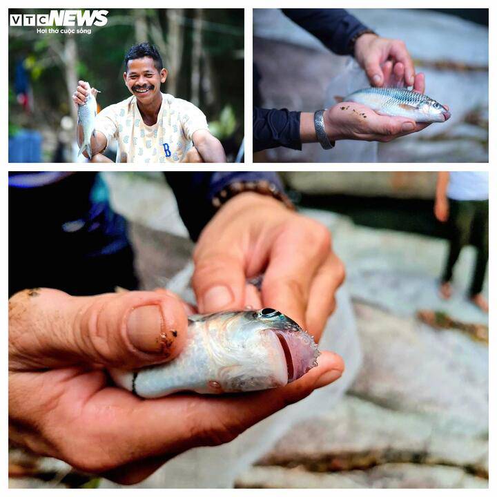 Ngược dòng sông Krông Nô săn loài cá quý hiếm ở Lâm Đồng cùng bà con K'Ho - 6