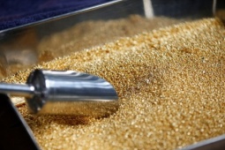 Giá vàng thế giới mất mốc 5.000 USD, dầu thô tiếp tục tăng