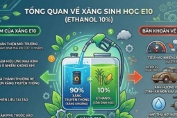Xăng E10 là xăng gì? Giá xăng E10 hôm nay "đắt hơn" xăng E5 RON 92 bao nhiêu tiền?