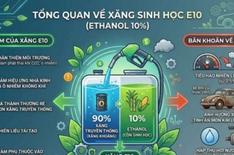 Xăng E10 là xăng gì? Giá xăng E10 hôm nay "đắt hơn" xăng E5 RON 92 bao nhiêu tiền?