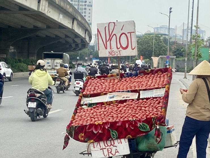 Trong khi nhót tại “thủ phủ” Dương Hòa được bán với giá rẻ như cho, thì tại nhiều tuyến đường và chợ lẻ ở Hà Nội, loại quả này vẫn được bán với giá 50.000 – 70.000 đồng/kg.