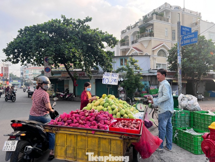 Xoài keo có giá chỉ 5.000 đồng/kg