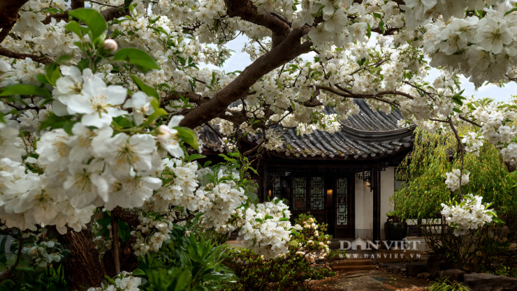 Theo người xưa, ngày Xuân phân là ngày "cân bằng âm dương".