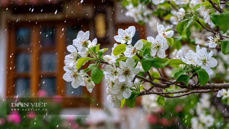 Làm tốt những việc nhỏ mà người xưa dặn vào tiết Xuân phân, bạn sẽ có một năm suôn sẻ và khỏe mạnh!