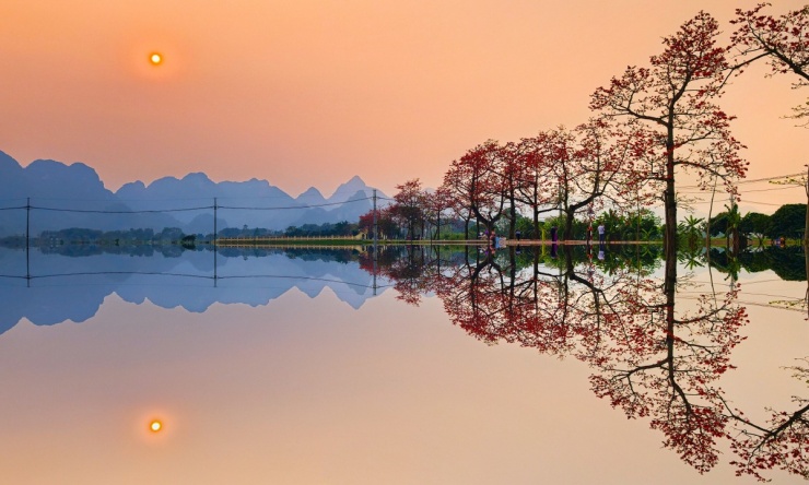 Hoa gạo bung nở nhuộm đỏ vùng quê ngoại thành Hà Nội - 1