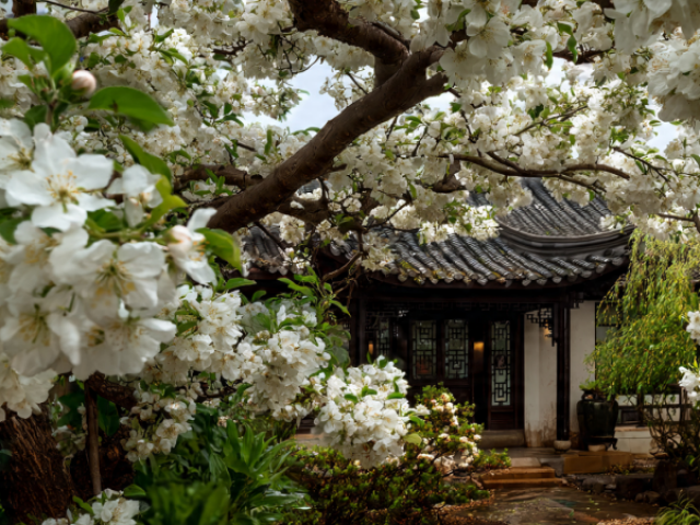 Người xưa dặn: Tiết Xuân phân tránh làm 3 việc, may mắn tràn đầy, xui xẻo tránh xa