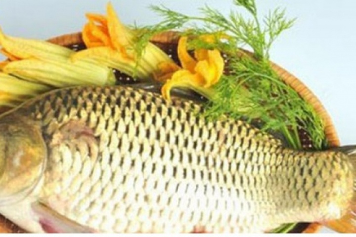 Cá chép bổ dưỡng nhưng “đại kỵ” với những thực phẩm này