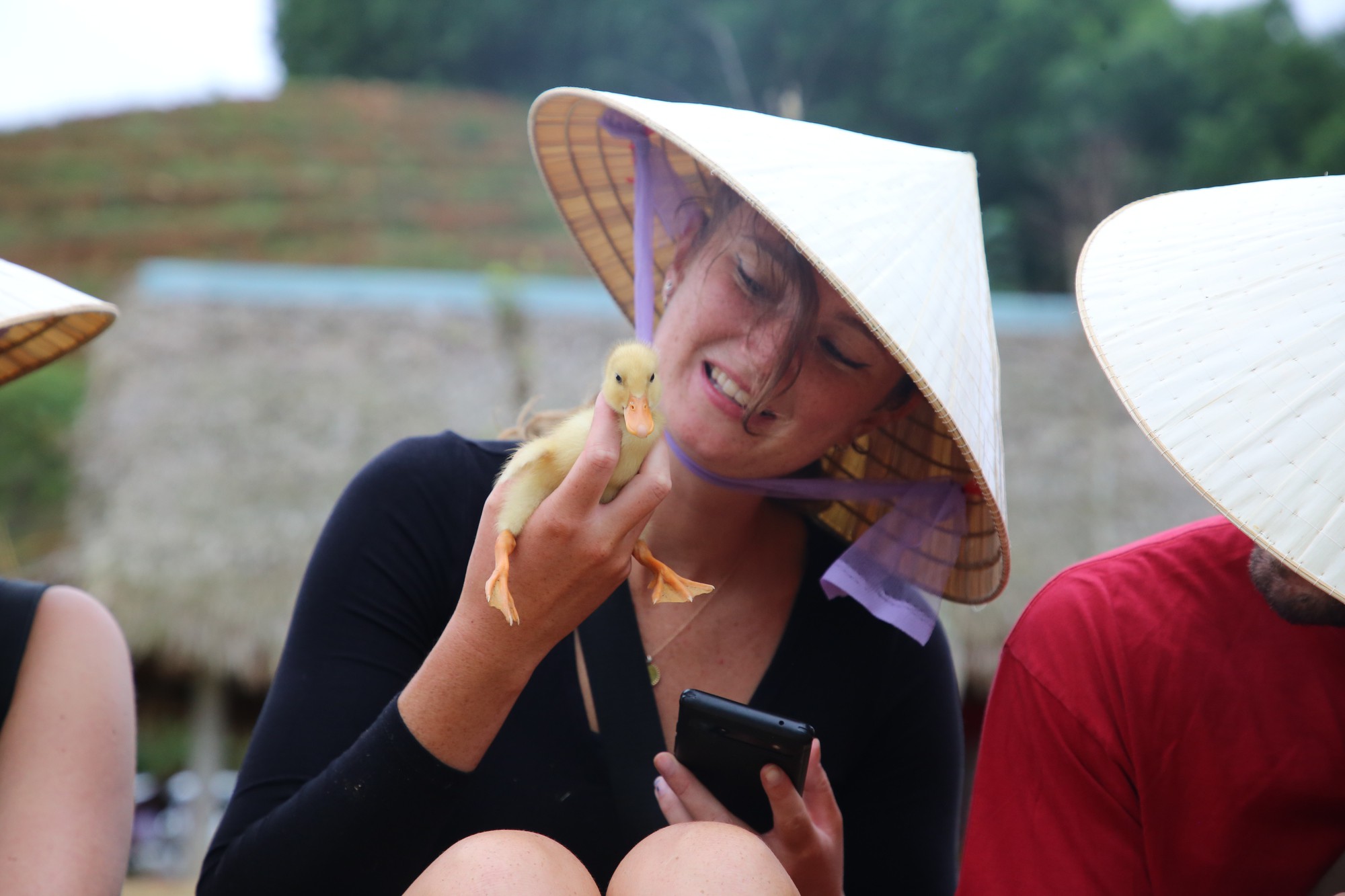 Trải nghiệm được ôm ấp những chú vịt con nhỏ bé, mềm mại cũng khiến du khách thích thú.