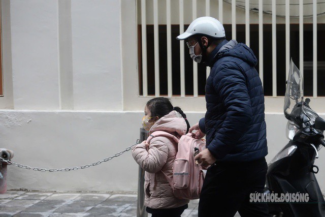 Mùa đông năm nay có nền nhiệt trung bình cao, trở thành mùa đông ấm thứ hai trong lịch sử. Ảnh: Tuấn Anh