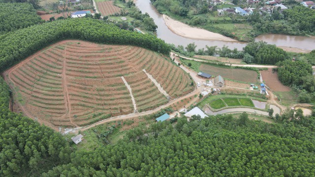 Trang trại bình dị ở thôn Bồng Lai 1, xã Bố Trạch, tỉnh Quảng Trị của anh Trần Quốc Hoàn (SN 1991) là điểm đến của nhiều du khách quốc tế để trải nghiệm dịch vụ của những "nhân viên vịt", cưỡi trâu. Trang trại này nằm tại Làng du lịch Bồng Lai, còn gọi là Thung lũng Bồng Lai cách Trung tâm du lịch Phong Nha - Kẻ Bàng khoảng 9km. Nơi đây nổi bật với cảnh quan xanh mát, cánh đồng bát ngát, những con đường nhỏ uốn lượn giữa thiên nhiên và không khí trong lành.