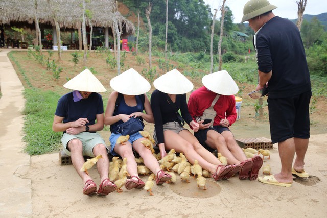Anh Hoàn cho biết, đàn vịt trước khi thực hiện "nhiệm vụ" được phòng dịch bệnh và vệ sinh sạch sẽ, nên du khách sẽ an toàn khi trải nghiệm.