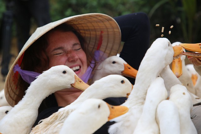 Những trải nghiệm thú vị cùng vật nuôi quen thuộc của làng quê Việt Nam mang lại cho du khách sự phấn khích, ấn tượng khó phai. Chị Julia, du khách quốc tịch Anh cho biết, rất thích thú với những trải nghiệm cùng vịt và trâu. Hành trình khám phá những ngõ ngách của làng quê sau khi tham quan hang động của chị thật giá trị.