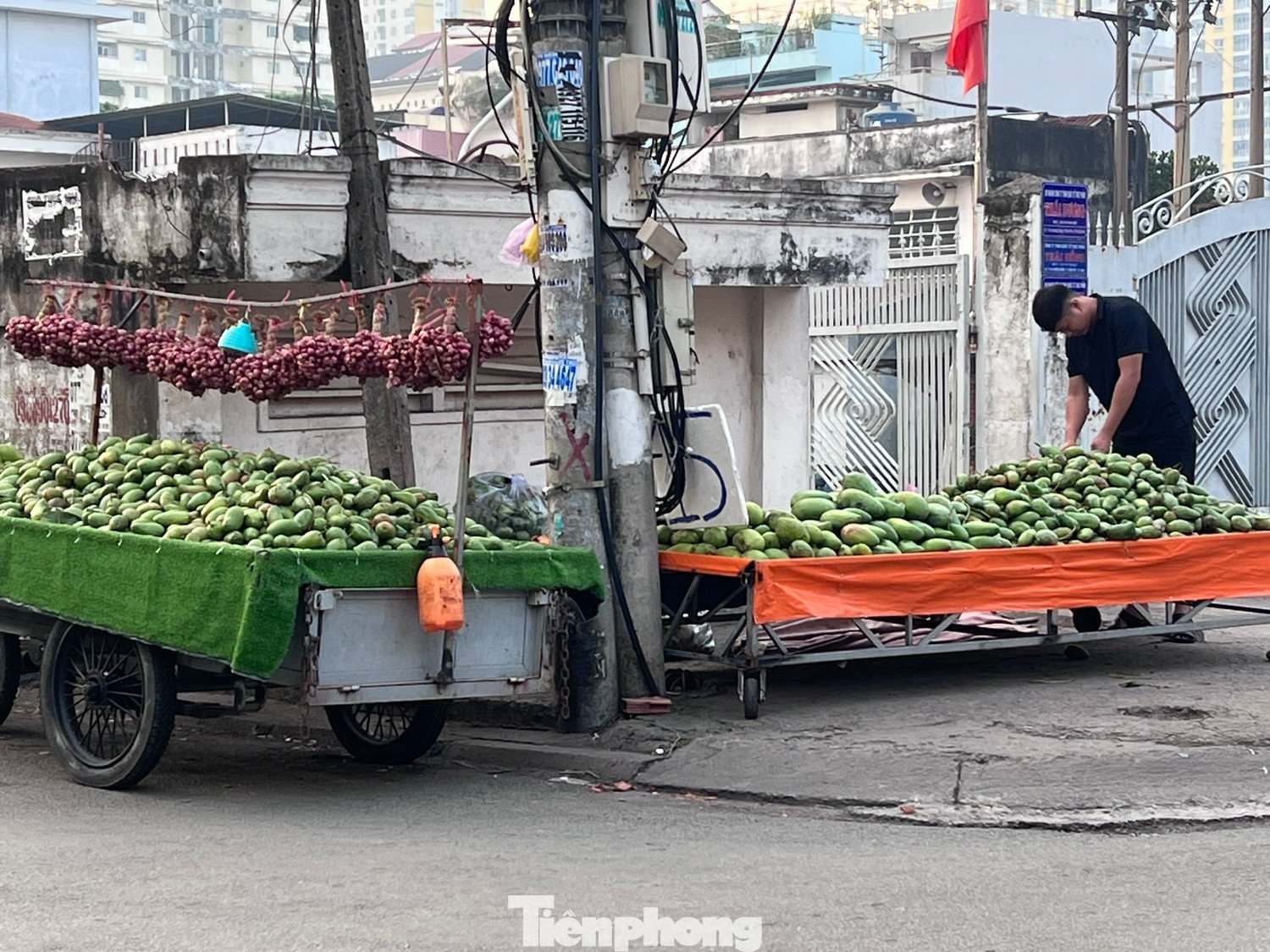 Xoài keo, xoài Thái chất đống, bán đầy chợ ở TPHCM