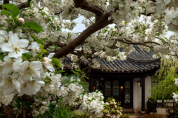 Người xưa dặn: Tiết Xuân phân tránh làm 3 việc, may mắn tràn đầy, xui xẻo tránh xa