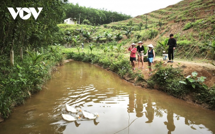 Sau khi chăn vịt, du khách tìm đến thú vui câu cá