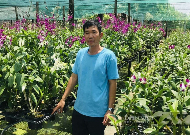 Ông Lưu Cẩm Hùng xã Hưng Long, TP.HCM với mô hình trồng hoa lan Dendro màu đã mang lại doanh thu tiền tỷ mỗi năm. Ảnh: Vân Nguyễn