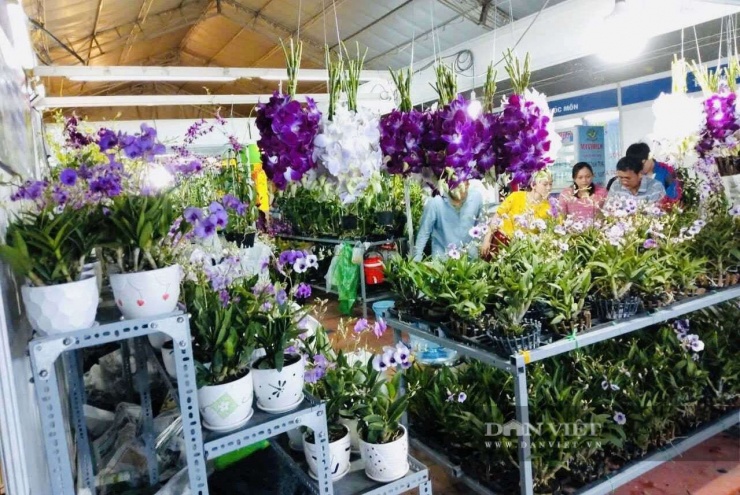 Ông Hùng luôn sẵn lòng hỗ trợ giống và chuyển giao kỹ thuật cho bà con nông dân muốn dùng thử hoặc chuyển đổi sang trồng lan. Ảnh: Vân Nguyễn